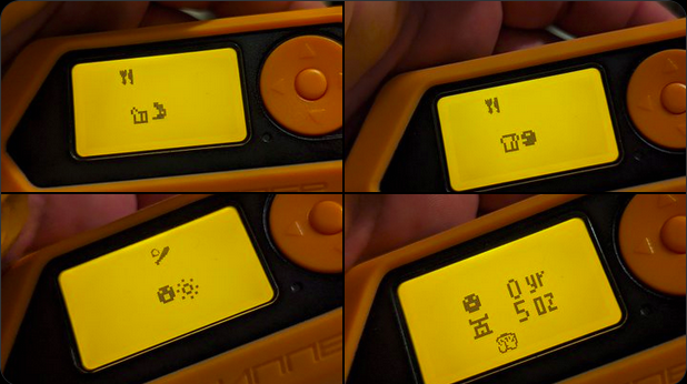 Tamagotchi on the Flipper in 4 pictures